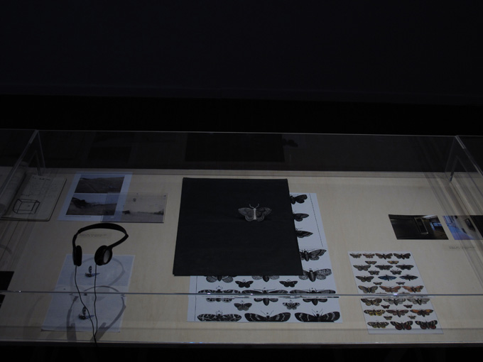 Gianni Moretti, La Bell'ra (studi per un monumento all'attenzione), 2013. Legno, plexiglass, carte, proiettore, lettore audio, 81x600x95 cm. 