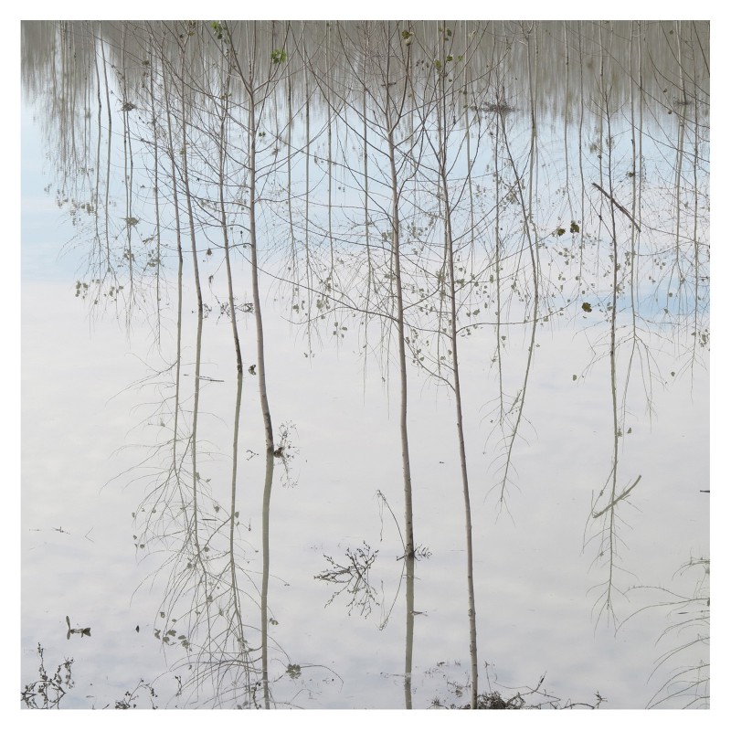 Annamaria Belloni,  Quando il fiume smette di fare paura, 2014. fotografia digitale  digital photography  cm 50x50  n° 1/8