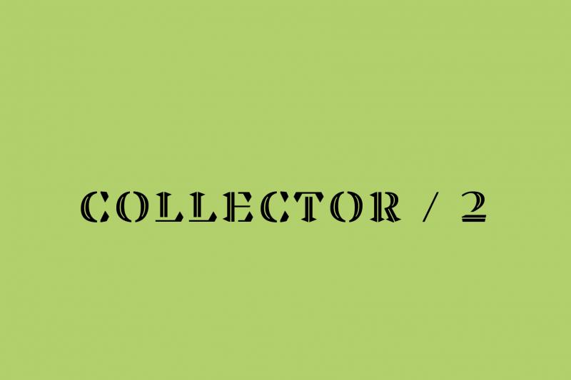 collector-2 collezionare arte contemporanea
