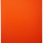 Joseph Marioni, Red Painting, 2012. Cm 120 x 102. Courtesy: galleria Luca Tommasi