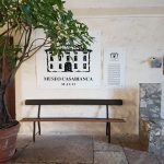 Museo Casabianca - stanza 0: particolare dell'ingresso del Museo Casabianca, androne del piano terra con ficus