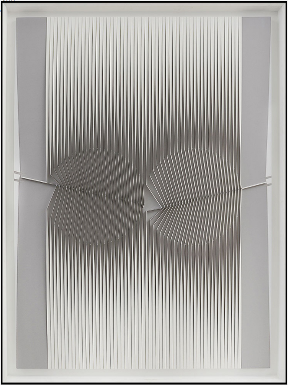 LOTTO 300 - Alberto Biasi, Variazione di politopo, 1978. Rilievo in tela su tavola 165x118x3 cm.