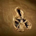 Sotheby’s Milano: ecco l’asta di primavera LOTTO 4 - LUCIO FONTANA, Concetto Spaziale, 1963-64. Olio, squarci e graffiti su tela, oro, (particolare). Courtesy: Sotheby's