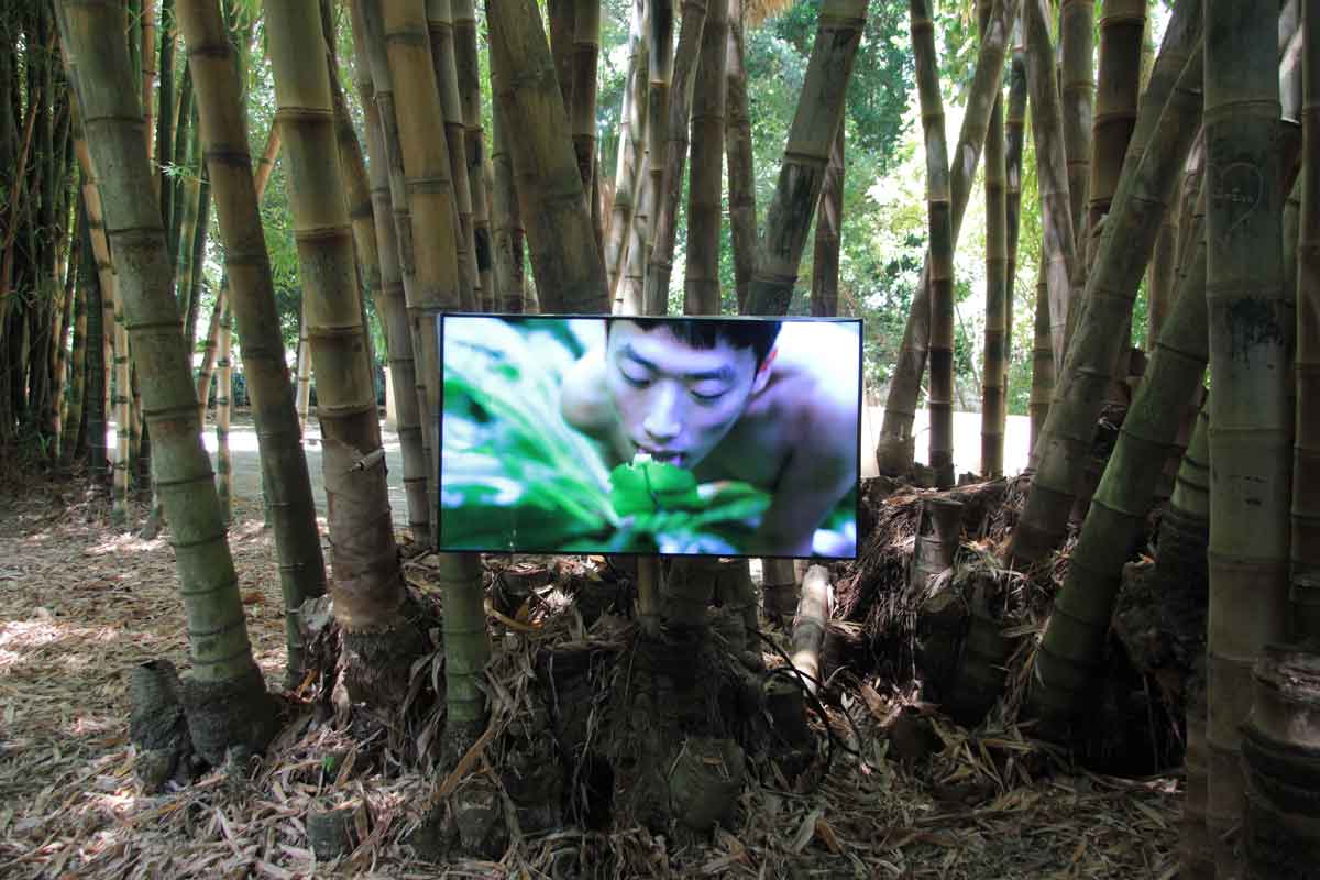 ZHENG BO Pteridophilia 1, 2016 – ongoing Video Duration 17min 14sec Photo: Wolfgang TrägerPhoto Courtesy: Manifesta 12 Palermo and the artist 