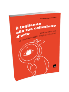 Il tagliando alla tua collezione d'arte - guida pratica al monitoraggio degli ambienti