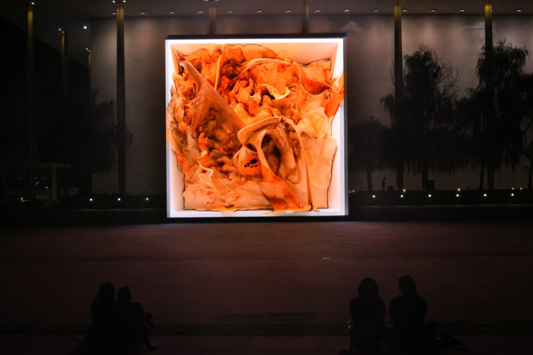 I Top Lot dell’artista Refik Anadol