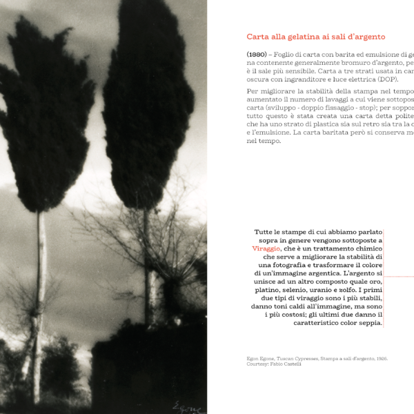 Collezionare fotografia - immagine 5