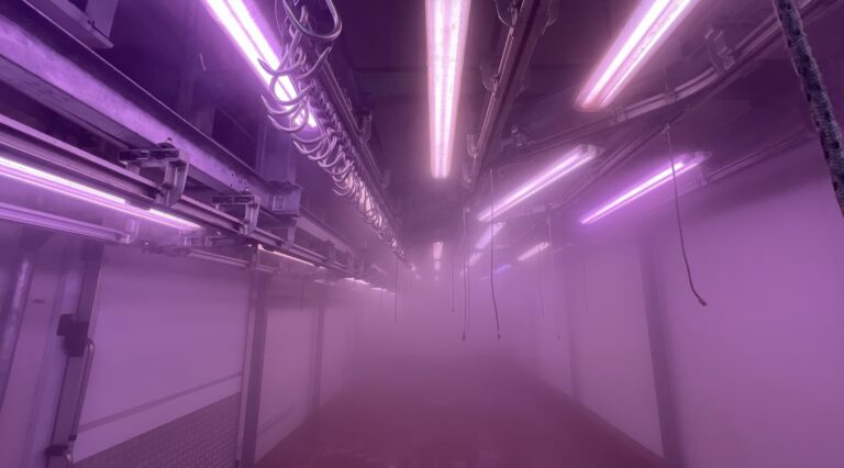 Canicula: il terzo capitolo della videoarte alla Biennale di Venezia