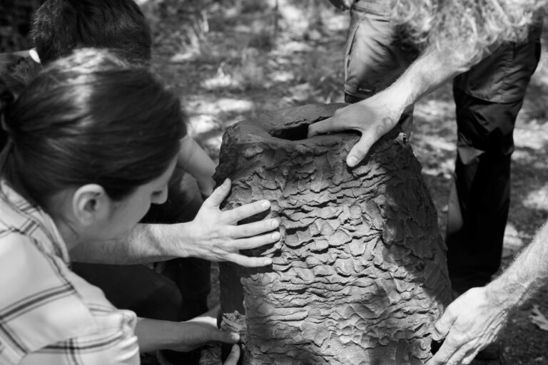 Chiara Camoni inaugura Figure nel Paesaggio ai Giardini PwC dell’Accademia Carrara