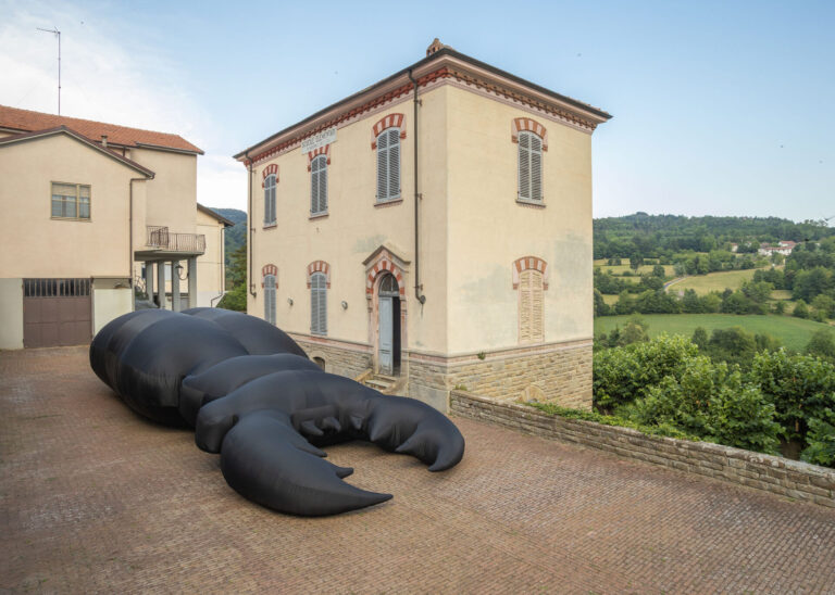 Buona Fortuna Ribelli, quando il centro del mondo diventa un bosco